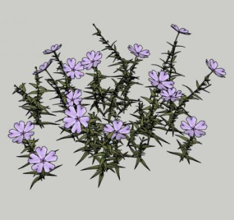 夹竹桃植物SU模型下载_sketchup草图大师SKP模型