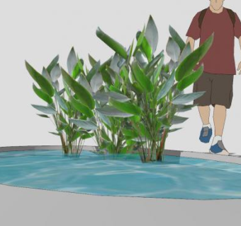 水生植物sketchup模型下载_sketchup草图大师SKP模型