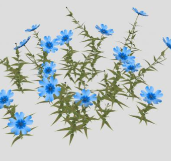 蓝花夹竹桃SU模型下载_sketchup草图大师SKP模型