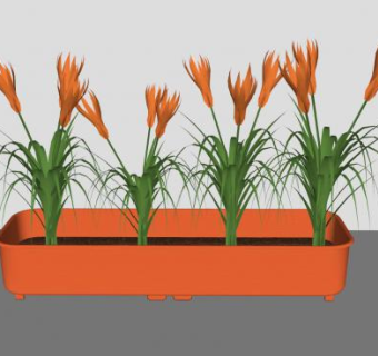 塑料花箱植物SU模型下载_sketchup草图大师SKP模型