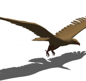 老鹰动物SU模型下载_sketchup草图大师SKP模型