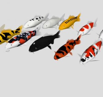 鲤鱼金鱼观赏鱼SU模型下载_sketchup草图大师SKP模型