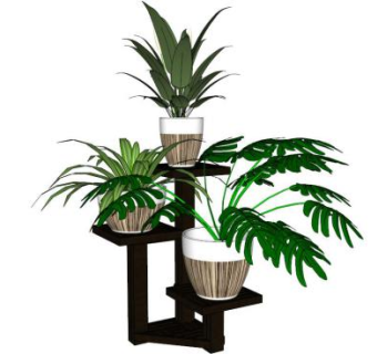 室内植物su模型下载_sketchup草图大师SKP模型