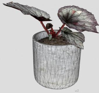 花瓶花盆植物装饰SU模型下载_sketchup草图大师SKP模型