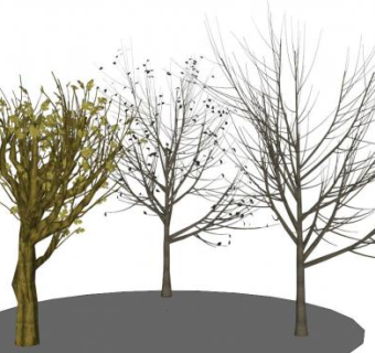 枯树枝su模型下载_sketchup草图大师SKP模型