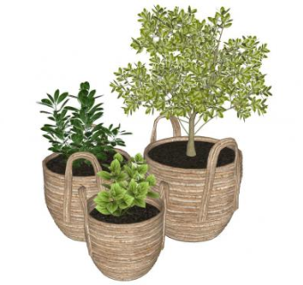 背篓花盆植物盆栽SU模型下载_sketchup草图大师SKP模型
