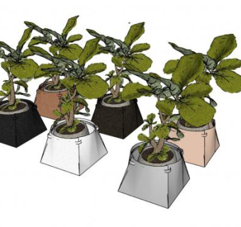 观赏植物盆栽花盆SU模型下载_sketchup草图大师SKP模型