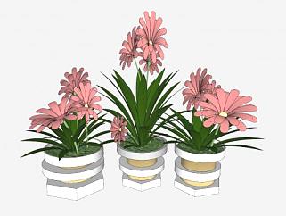 装饰品花瓶植物SU模型下载_sketchup草图大师SKP模型