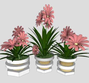 装饰品花瓶植物SU模型下载_sketchup草图大师SKP模型