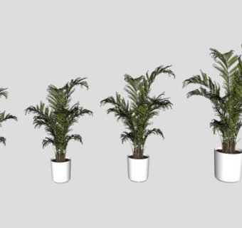 植物盆栽SU模型下载_sketchup草图大师SKP模型