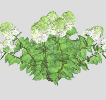 绣球花SU模型下载_sketchup草图大师SKP模型