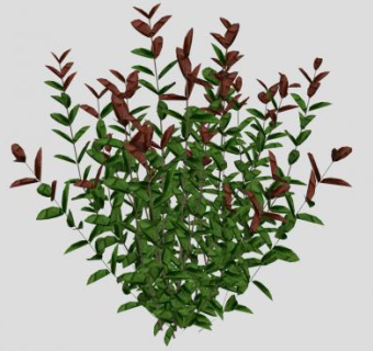 观赏灌木SU模型下载_sketchup草图大师SKP模型