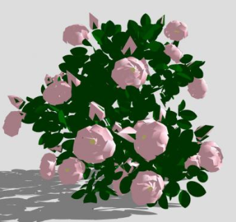 粉玫瑰植物SU模型下载_sketchup草图大师SKP模型