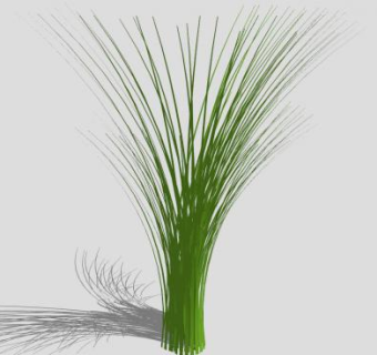 观赏禾草SU模型下载_sketchup草图大师SKP模型