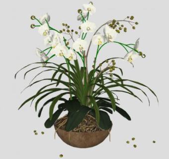 观赏开花盆栽SU模型下载_sketchup草图大师SKP模型