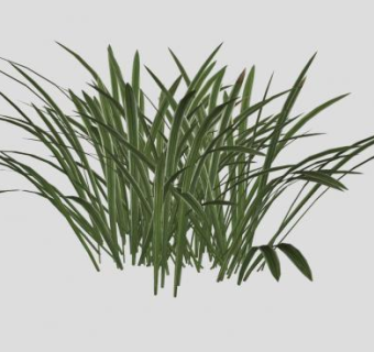 草sketchup模型下载_sketchup草图大师SKP模型