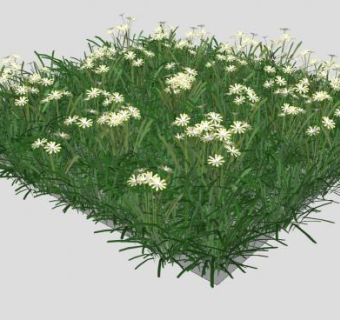 草地草甸SU模型下载_sketchup草图大师SKP模型