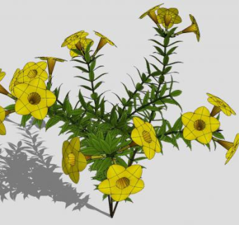 黄蔓花植物SU模型下载_sketchup草图大师SKP模型
