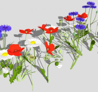 丽春花花卉SU模型下载_sketchup草图大师SKP模型