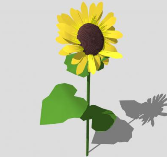 向日葵SU模型下载_sketchup草图大师SKP模型