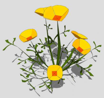 开花植物SU模型下载_sketchup草图大师SKP模型