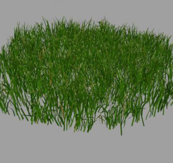 茂密的绿草SU模型下载_sketchup草图大师SKP模型