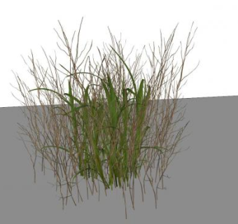 杂乱的草类植物SU模型下载_sketchup草图大师SKP模型