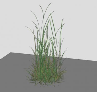 高草SU模型下载_sketchup草图大师SKP模型