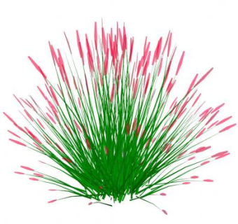 简易鼠尾草SU模型下载_sketchup草图大师SKP模型