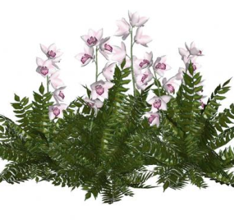 开花植物sketchup模型下载_sketchup草图大师SKP模型