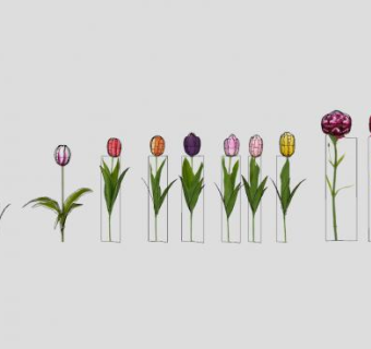 各种花卉花朵SU模型下载_sketchup草图大师SKP模型