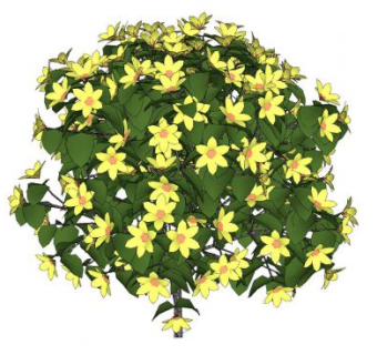 花卉灌木SU模型下载_sketchup草图大师SKP模型