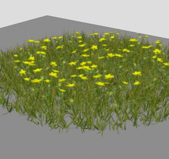 开花草本草地SU模型下载_sketchup草图大师SKP模型