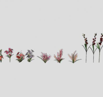 各种花卉花组SU模型下载_sketchup草图大师SKP模型