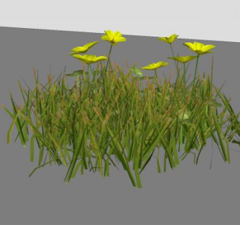 黄花草本植物sketchup模型下载_sketchup草图大师SKP模型