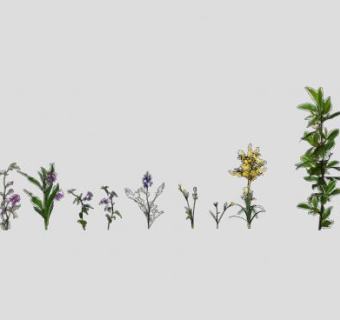 花卉花组SU模型下载_sketchup草图大师SKP模型