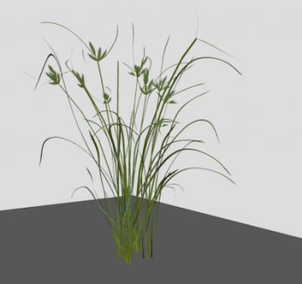 草木植物SU模型下载_sketchup草图大师SKP模型