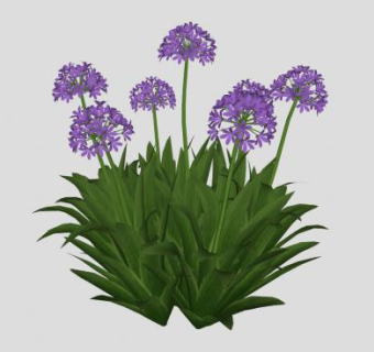 百子莲sketchup模型下载_sketchup草图大师SKP模型