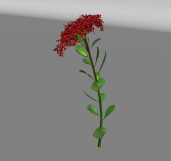 开花草本SU模型下载_sketchup草图大师SKP模型