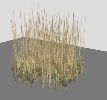 小草SU模型下载_sketchup草图大师SKP模型