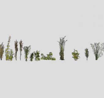 植被组植物SU模型下载_sketchup草图大师SKP模型