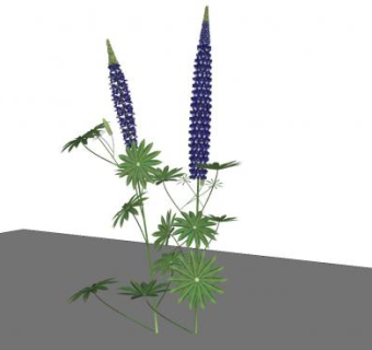 蓝色花草植物SU模型下载_sketchup草图大师SKP模型