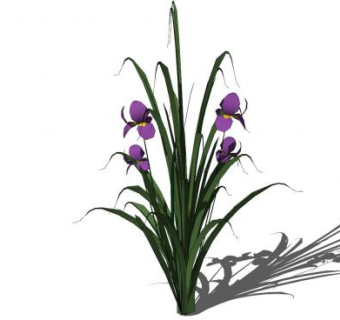 蝴蝶花SU模型下载_sketchup草图大师SKP模型
