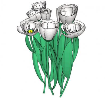 白色郁金香sketchup模型下载_sketchup草图大师SKP模型