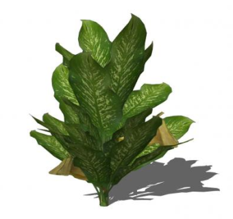 观叶草本sketchup模型下载_sketchup草图大师SKP模型