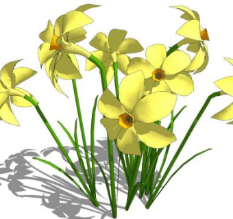 黄水仙SU模型下载_sketchup草图大师SKP模型