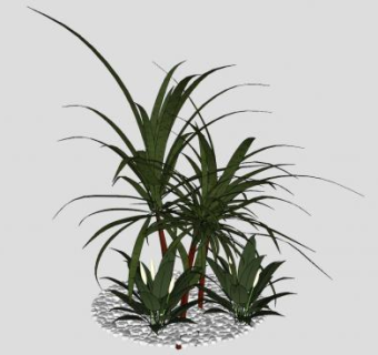 花园植物SKP模型下载_sketchup草图大师SKP模型