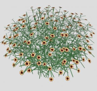 两色金鸡菊SU模型下载_sketchup草图大师SKP模型