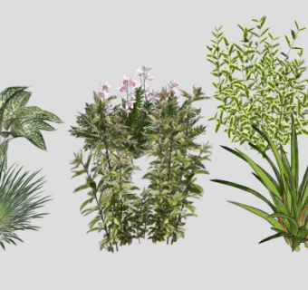 灌木植物组SU模型下载_sketchup草图大师SKP模型