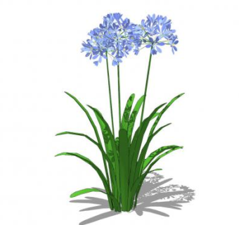 宿根植物SU模型下载_sketchup草图大师SKP模型